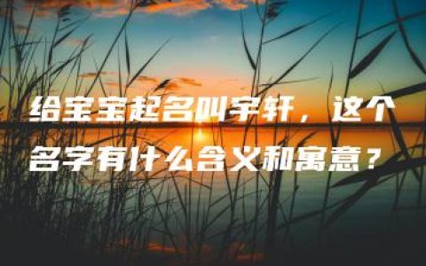 给宝宝起名叫宇轩，这个名字有什么含义和寓意？