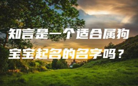 知言是一个适合属狗宝宝起名的名字吗？