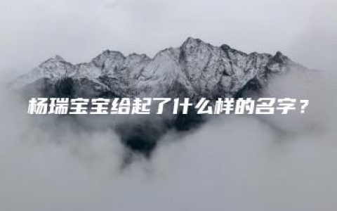 杨瑞宝宝给起了什么样的名字？