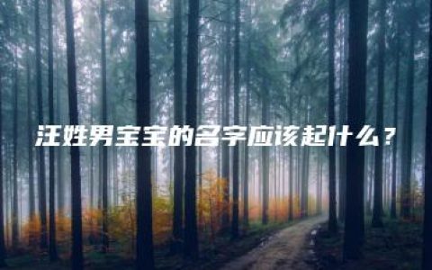 汪姓男宝宝的名字应该起什么？