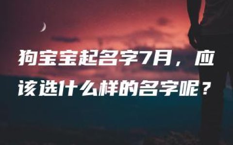 狗宝宝起名字7月，应该选什么样的名字呢？