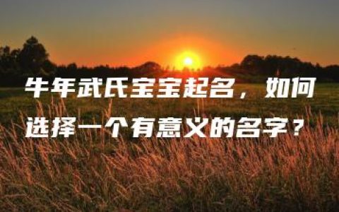 牛年武氏宝宝起名，如何选择一个有意义的名字？