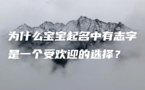 为什么宝宝起名中有志字是一个受欢迎的选择？