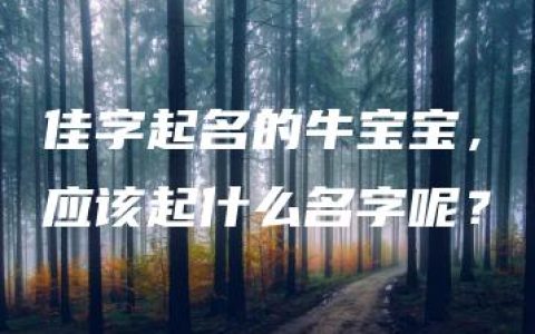 佳字起名的牛宝宝，应该起什么名字呢？