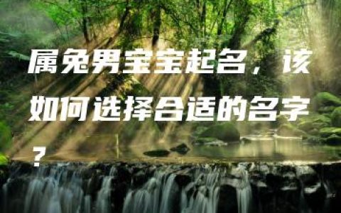 属兔男宝宝起名，该如何选择合适的名字？