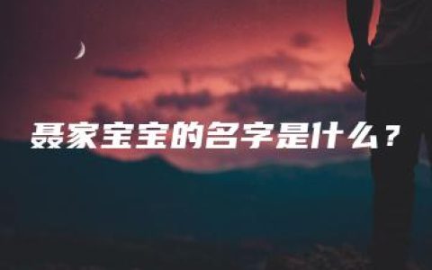 聂家宝宝的名字是什么？