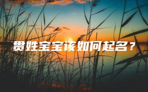 贯姓宝宝该如何起名？