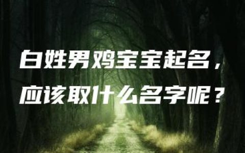 白姓男鸡宝宝起名，应该取什么名字呢？