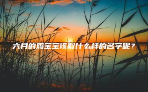 六月的鸡宝宝该取什么样的名字呢？