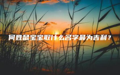 何姓鼠宝宝取什么名字最为吉利？