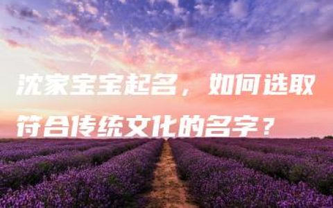 沈家宝宝起名，如何选取符合传统文化的名字？