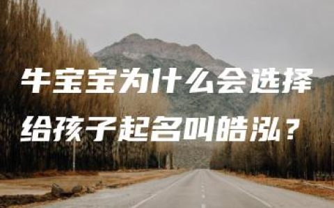 牛宝宝为什么会选择给孩子起名叫皓泓？