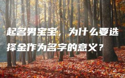 起名男宝宝，为什么要选择金作为名字的意义？