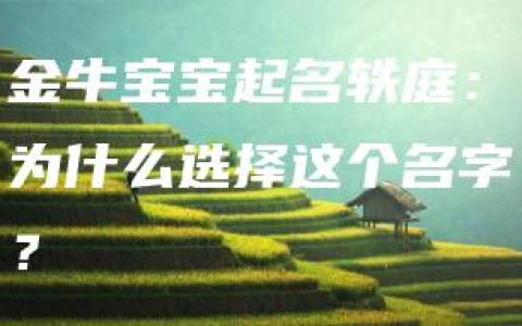 金牛宝宝起名轶庭：为什么选择这个名字？