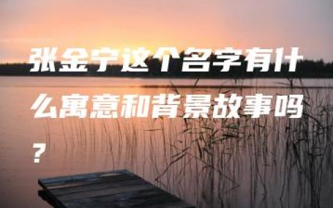 张金宁这个名字有什么寓意和背景故事吗？