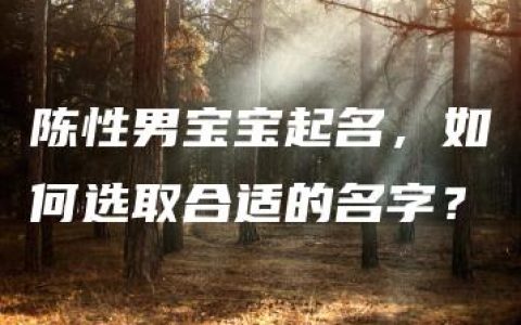 陈性男宝宝起名，如何选取合适的名字？