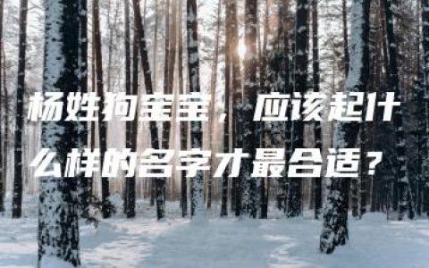 杨姓狗宝宝，应该起什么样的名字才最合适？