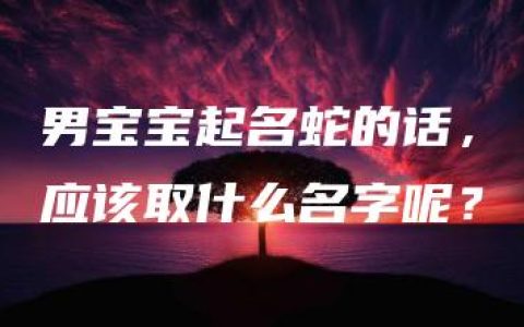 男宝宝起名蛇的话，应该取什么名字呢？