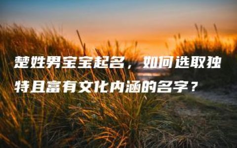 楚姓男宝宝起名，如何选取独特且富有文化内涵的名字？