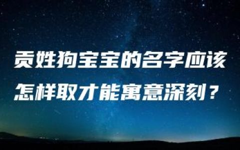 贡姓狗宝宝的名字应该怎样取才能寓意深刻？