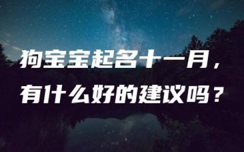 狗宝宝起名十一月，有什么好的建议吗？