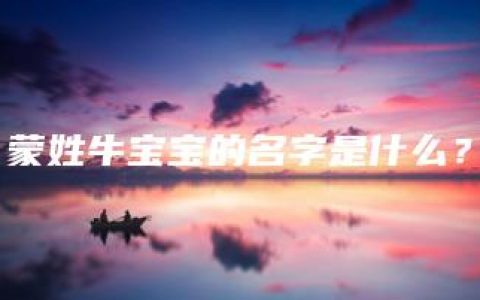 蒙姓牛宝宝的名字是什么？