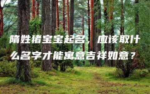 隋姓猪宝宝起名，应该取什么名字才能寓意吉祥如意？