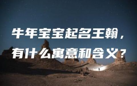 牛年宝宝起名王翰，有什么寓意和含义？