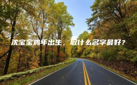 沈宝宝鸡年出生，取什么名字最好？