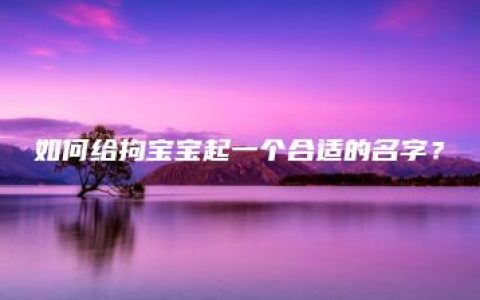 如何给拘宝宝起一个合适的名字？