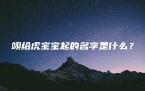 翊给虎宝宝起的名字是什么？