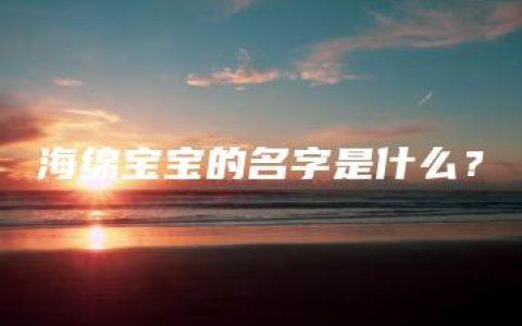 海绵宝宝的名字是什么？