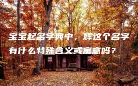 宝宝起名字典中，辉这个名字有什么特殊含义或寓意吗？