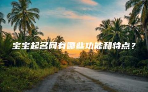 宝宝起名网有哪些功能和特点？