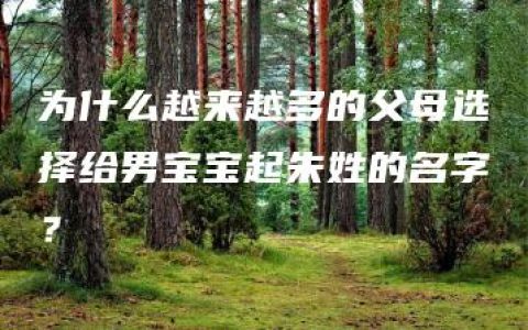 为什么越来越多的父母选择给男宝宝起朱姓的名字？