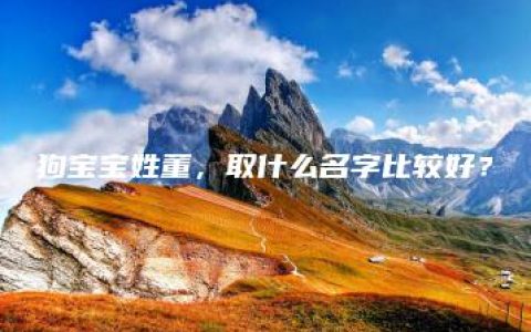 狗宝宝姓董，取什么名字比较好？