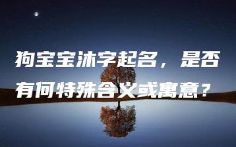 狗宝宝沐字起名，是否有何特殊含义或寓意？