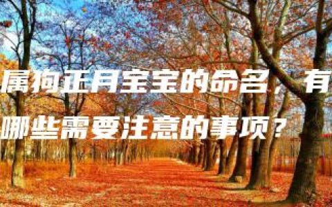 属狗正月宝宝的命名，有哪些需要注意的事项？