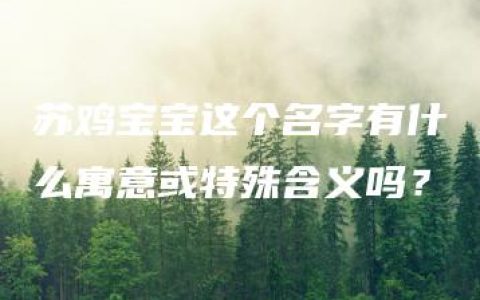 苏鸡宝宝这个名字有什么寓意或特殊含义吗？