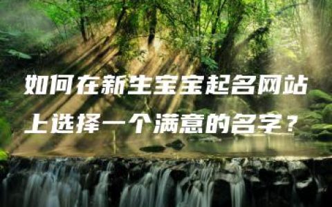 如何在新生宝宝起名网站上选择一个满意的名字？