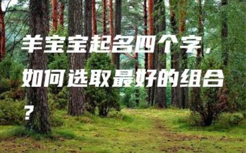 羊宝宝起名四个字，如何选取最好的组合？