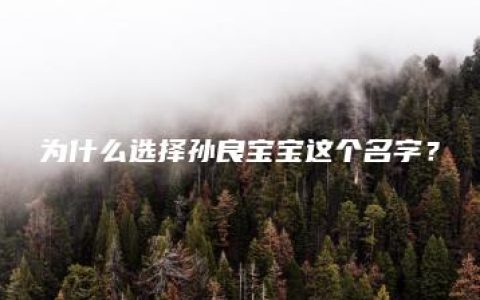 为什么选择孙良宝宝这个名字？