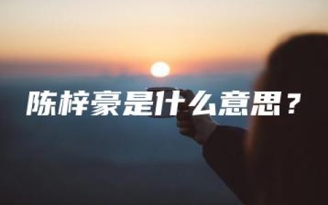 陈梓豪是什么意思？