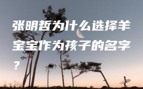 张明哲为什么选择羊宝宝作为孩子的名字？