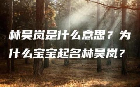 林昊岚是什么意思？为什么宝宝起名林昊岚？