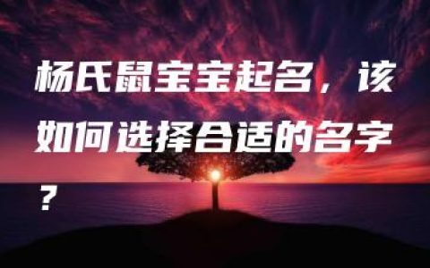 杨氏鼠宝宝起名，该如何选择合适的名字？