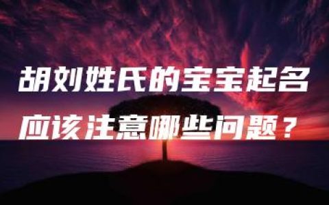 胡刘姓氏的宝宝起名应该注意哪些问题？