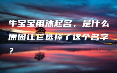 牛宝宝用沐起名，是什么原因让它选择了这个名字？