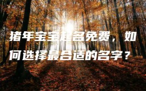 猪年宝宝起名免费，如何选择最合适的名字？