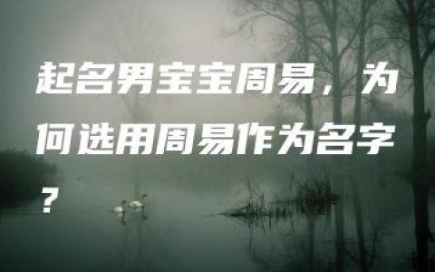 起名男宝宝周易，为何选用周易作为名字？